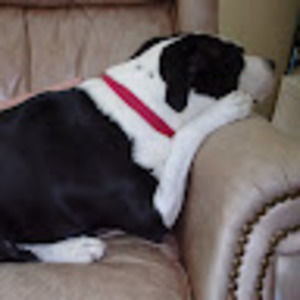 Meet your Posher, Billie